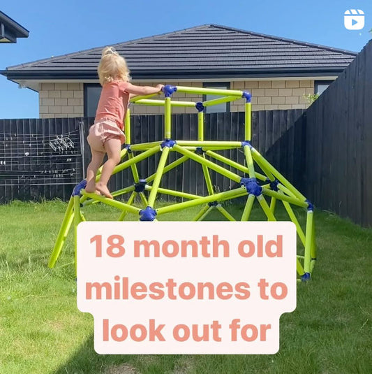 18 month old milestones