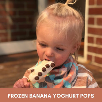 Frozen Banana Yoghurt Pops