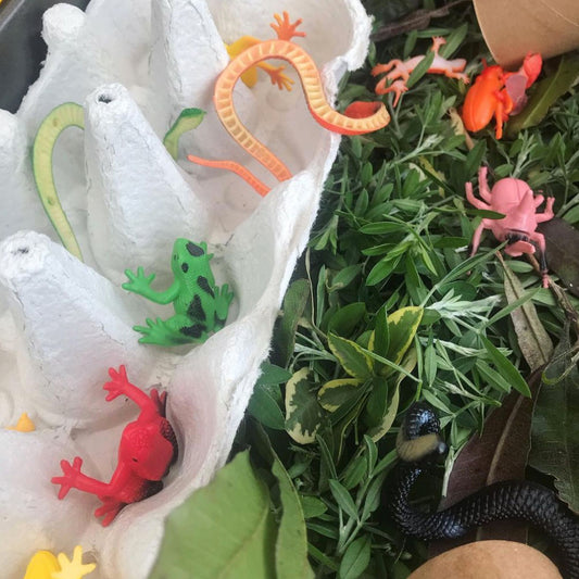 Recycled Rainforest