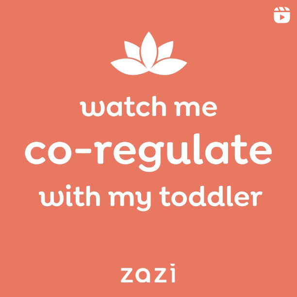 Wacth me Co-regulate with my Toddler