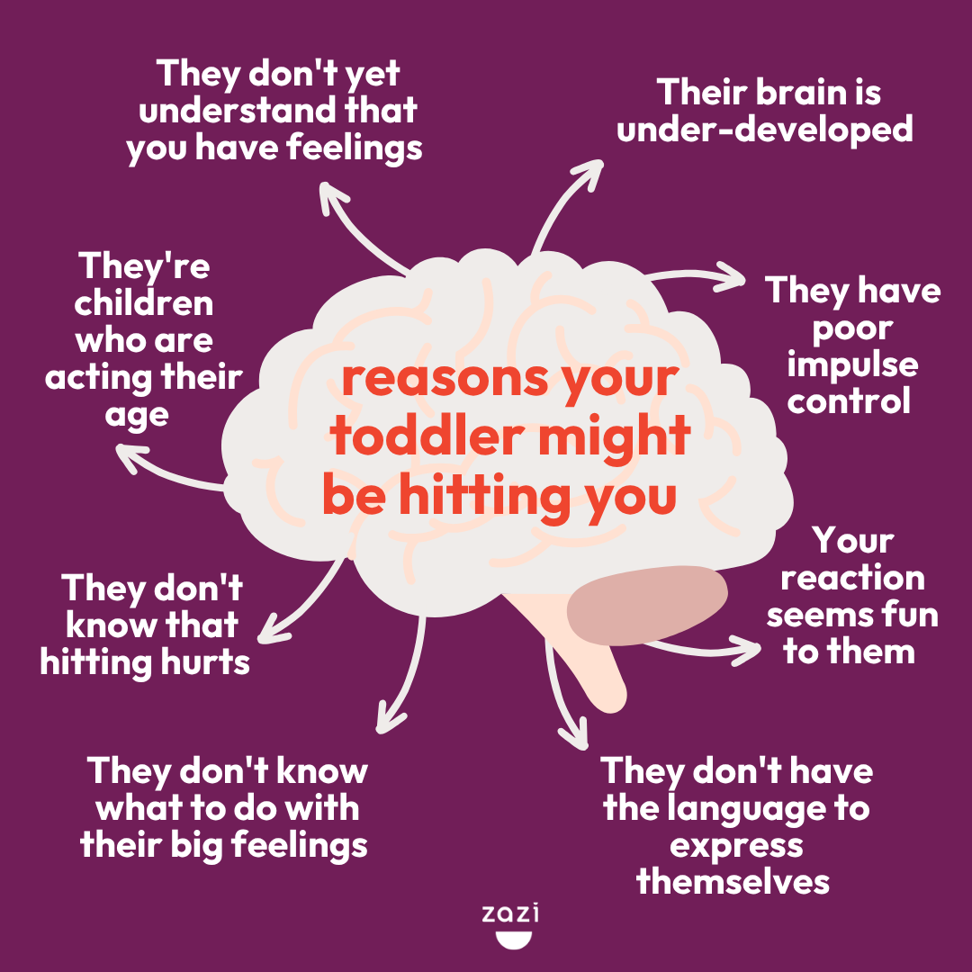 Reasons your Toddler might be Hitting you and what to do to help.