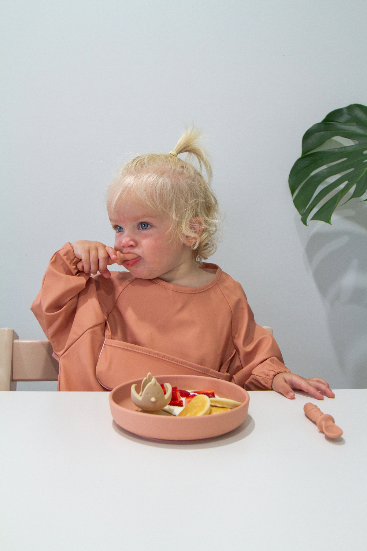 Sleeved Bib - Blush